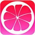 蜜柚app官网版