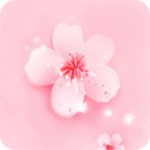 小猪草莓丝瓜深夜释放自己app