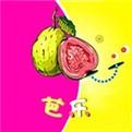 黄品汇2025在线下载