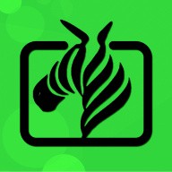 国体包esp插件_logo