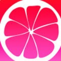 蜜芽168.coo免费永不失联在线观看