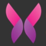 最美情侣高清免费视频播放