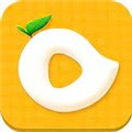 金莲直播安卓版