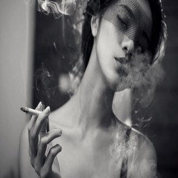 老子的种还在你的肚子里：探讨文化传承与精神延续的深意